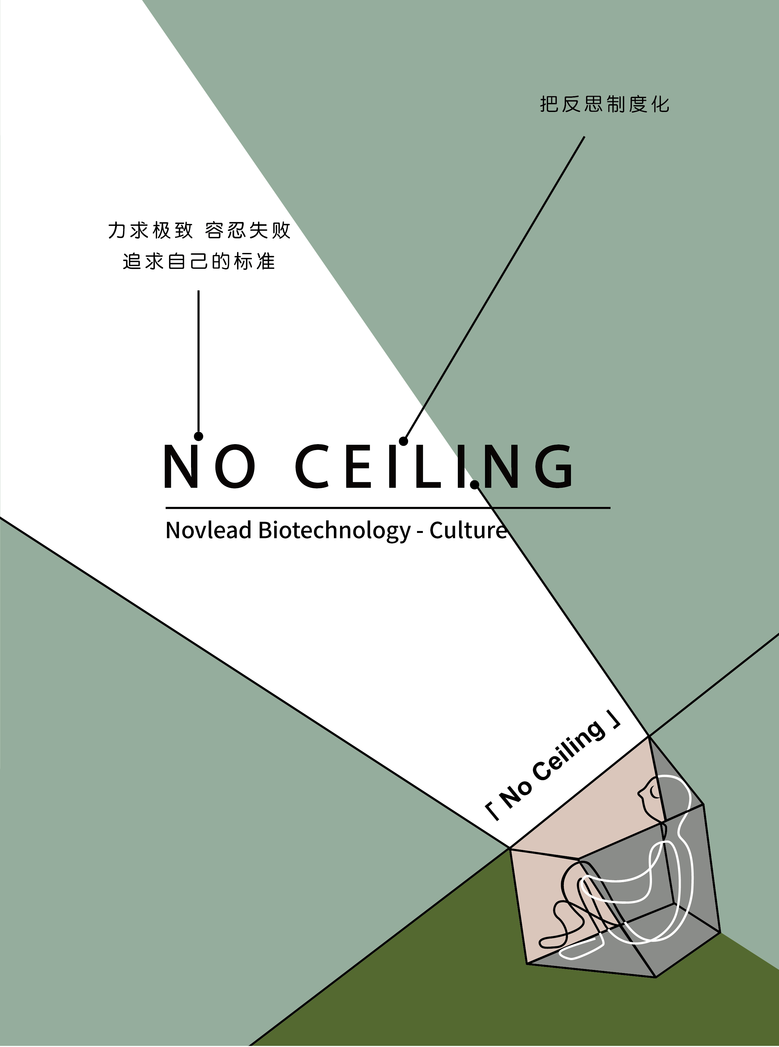 NO Ceiling